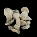 Yeti Psilocybe Cubensis - Dry Mush