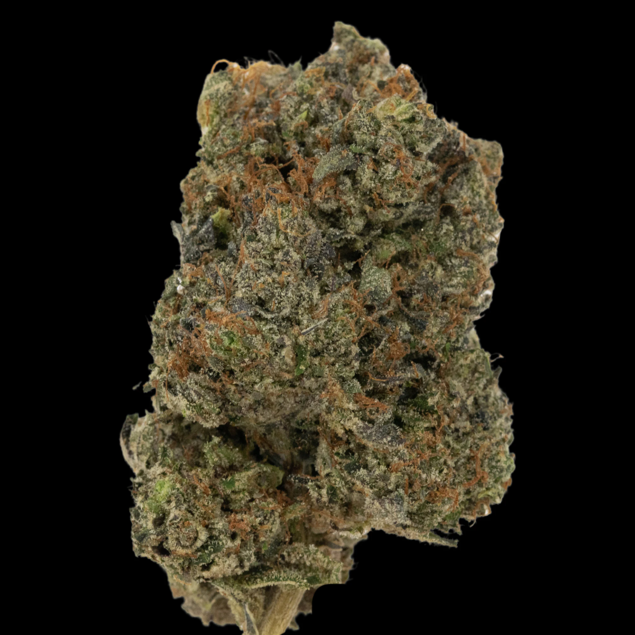 MDBX Farms - $10g Koffee Kush - By the Gram Main Image