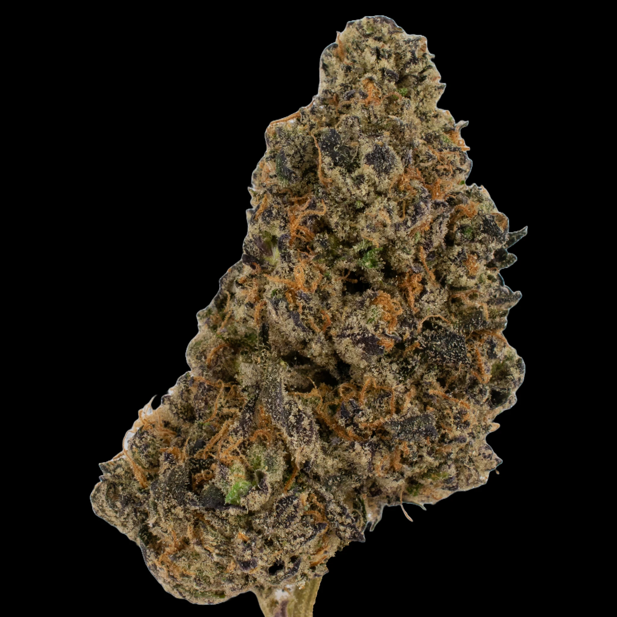 Cannabis Flower - $10g King Things - By the Gram Main Image