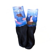Sky Woman Socks (Medium)