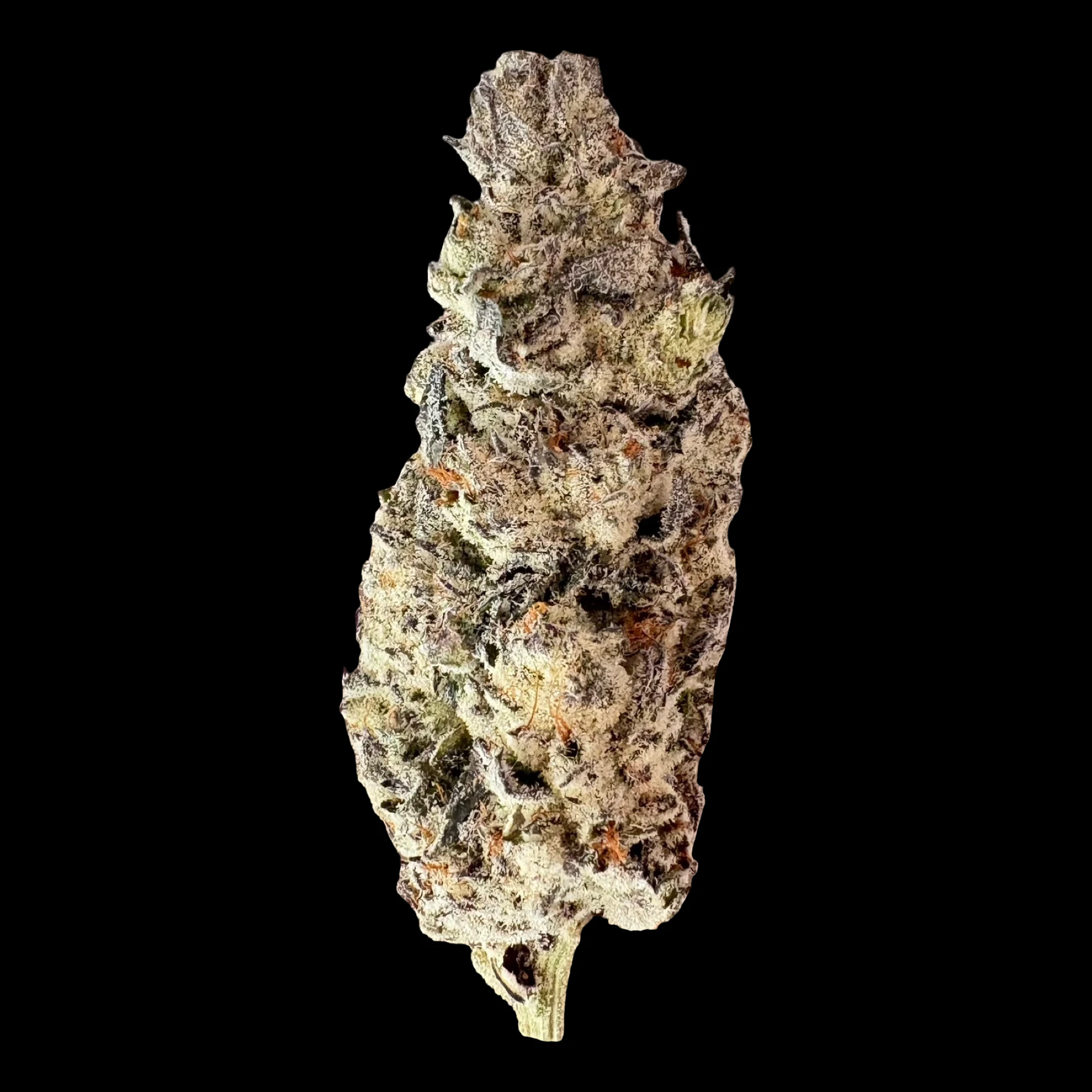 Cannabis Flower - $8g Papaya Twister LSO - By the Gram Main Image