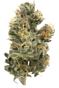 New Altitude Farms - New Altitude Farms - Kosher Dawg - 3.5g