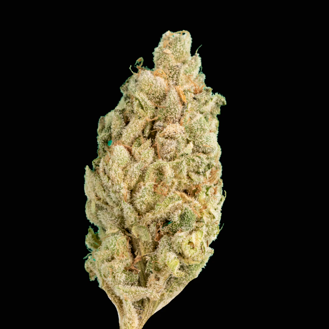 Cannabis Flower - $7g Blue Chemo - By the Gram Main Image