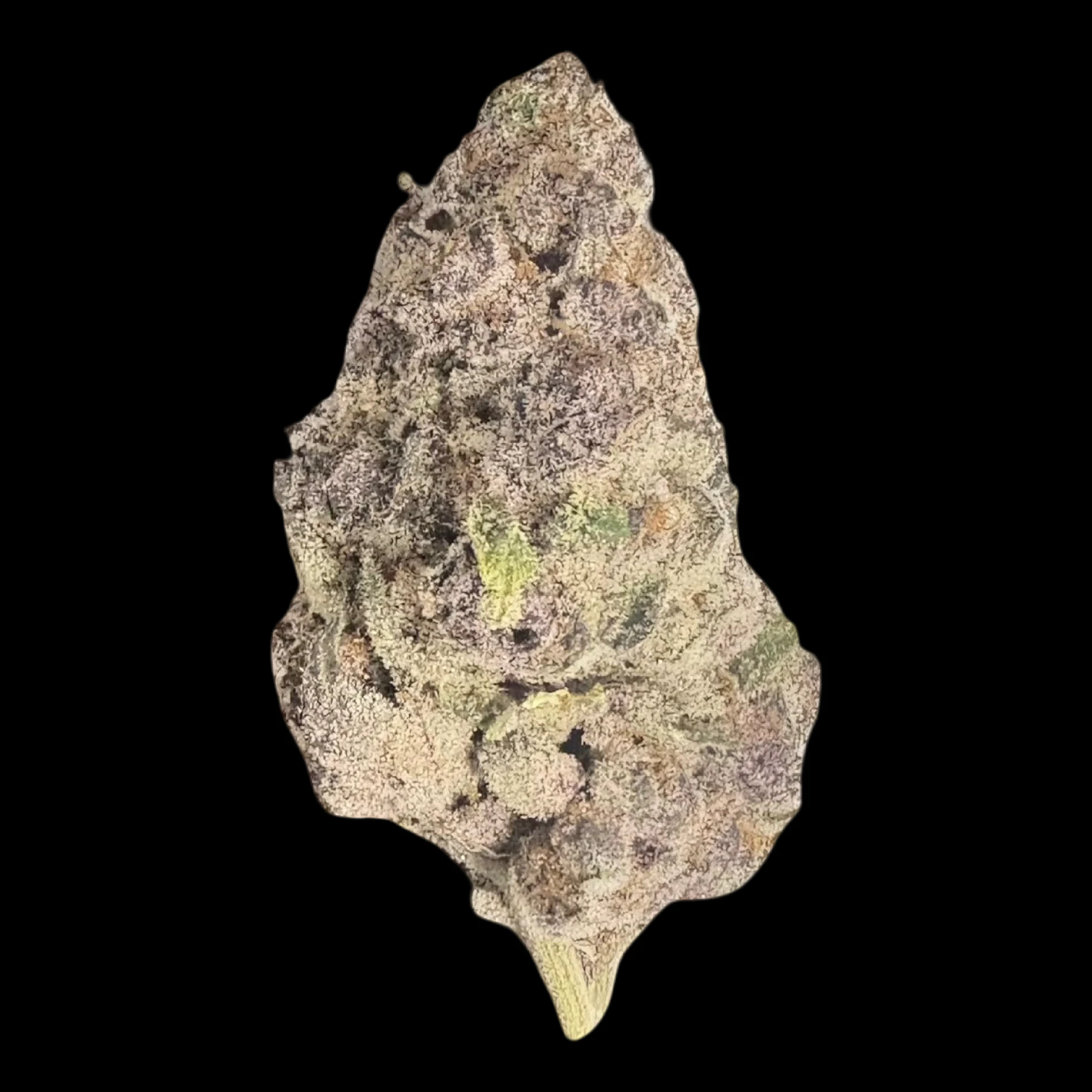 Cannabis Flower - $12g Sour Buff Cherry - By the Gram Main Image
