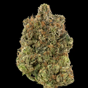 Cannabis Flower - $5g Pinky N The Brain - By the Gram