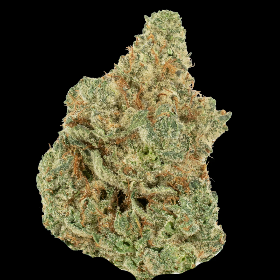 Cannabis Flower - $5g Tuna Shipwreck By the Gram Main Image