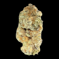 $6g Mimosa - By the Gram