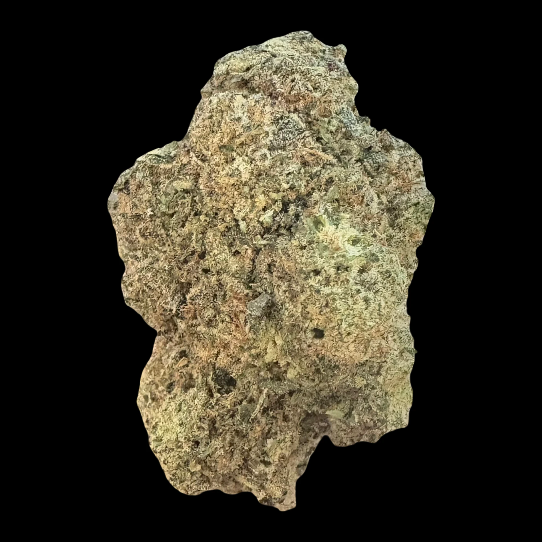 Cannabis Flower - $7g Sour Banana Sorbet - By the Gram Main Image